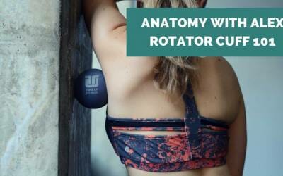 Everything You’ve Ever Wanted to Know About the Rotator Cuff
