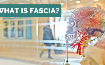 What is Fascia?