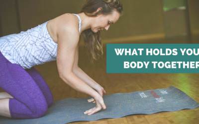 The Types of Muscle and Fascia that Hold your Body Together