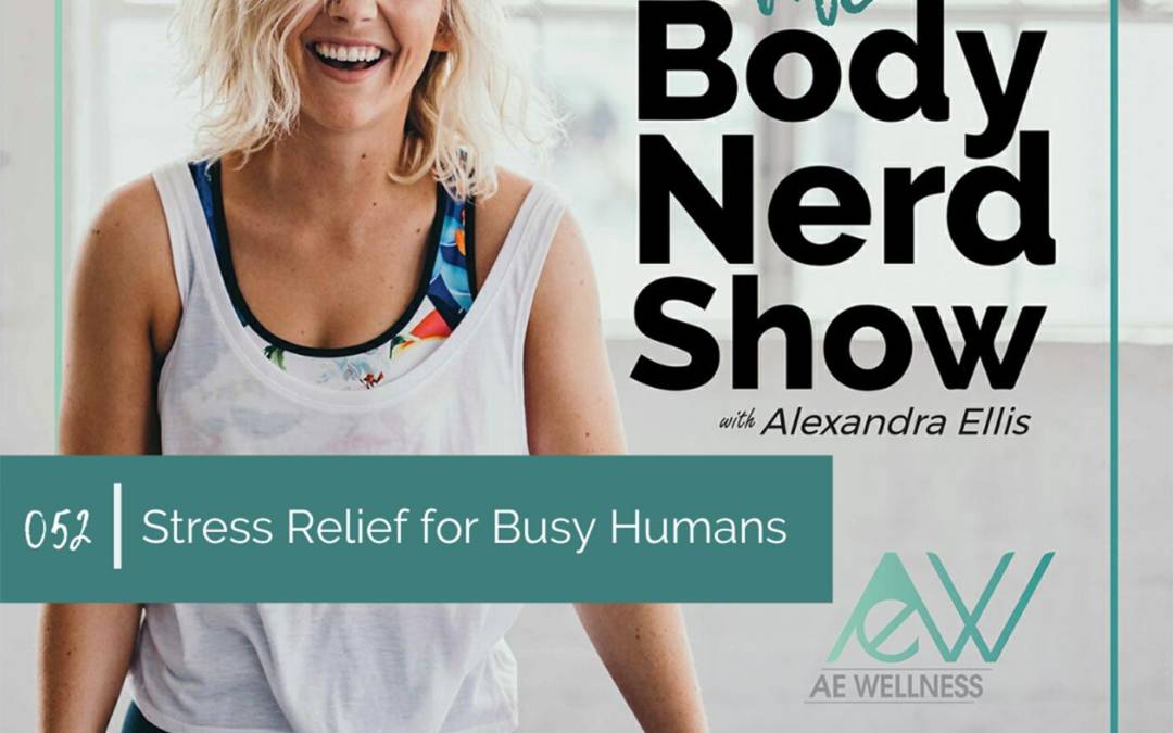 052 Stress Relief for Busy Humans