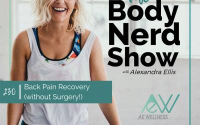 230 Back Pain Recovery (without Surgery!)